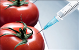 Health Risks of GMOs